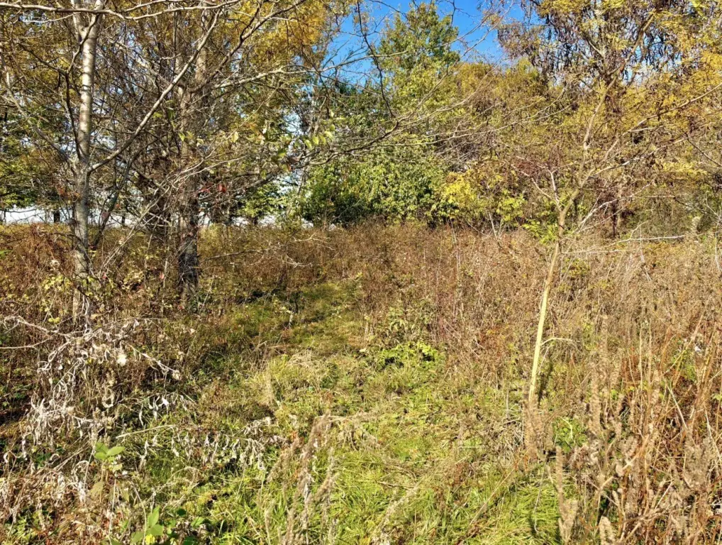 Picture 47