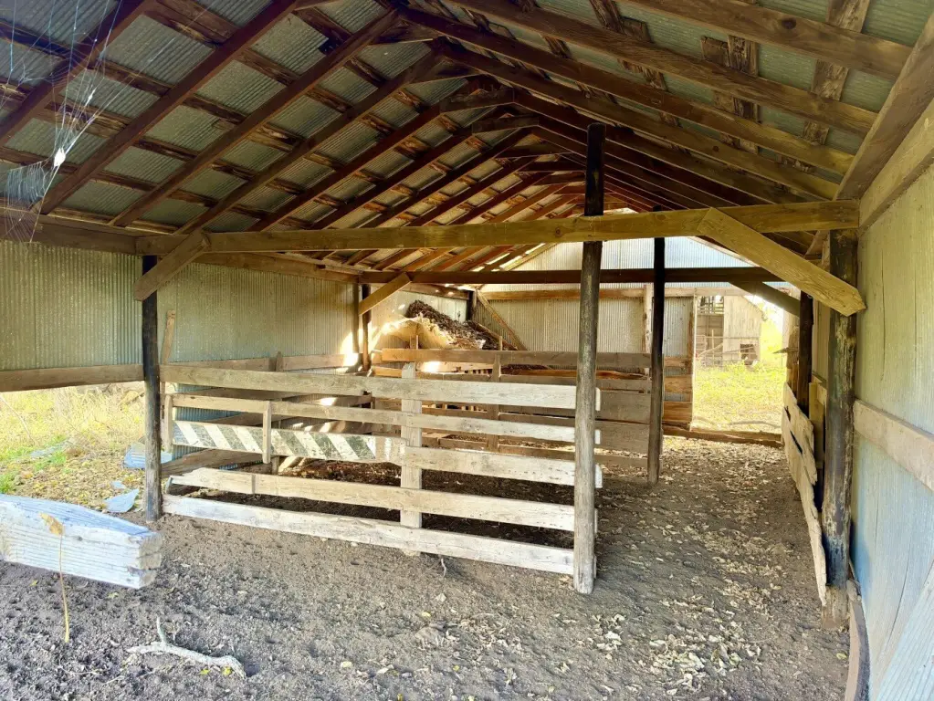 Picture 22