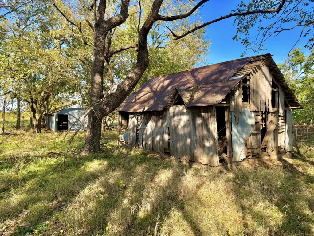 Picture 21