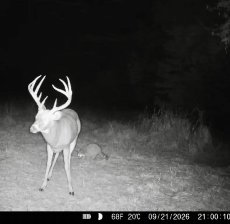 Picture 4