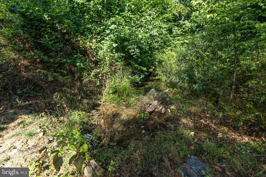 Picture 27