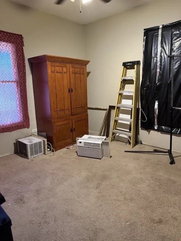 Picture 7