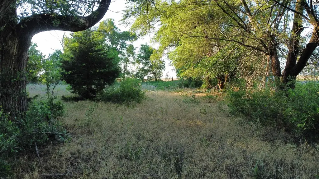 Picture 13