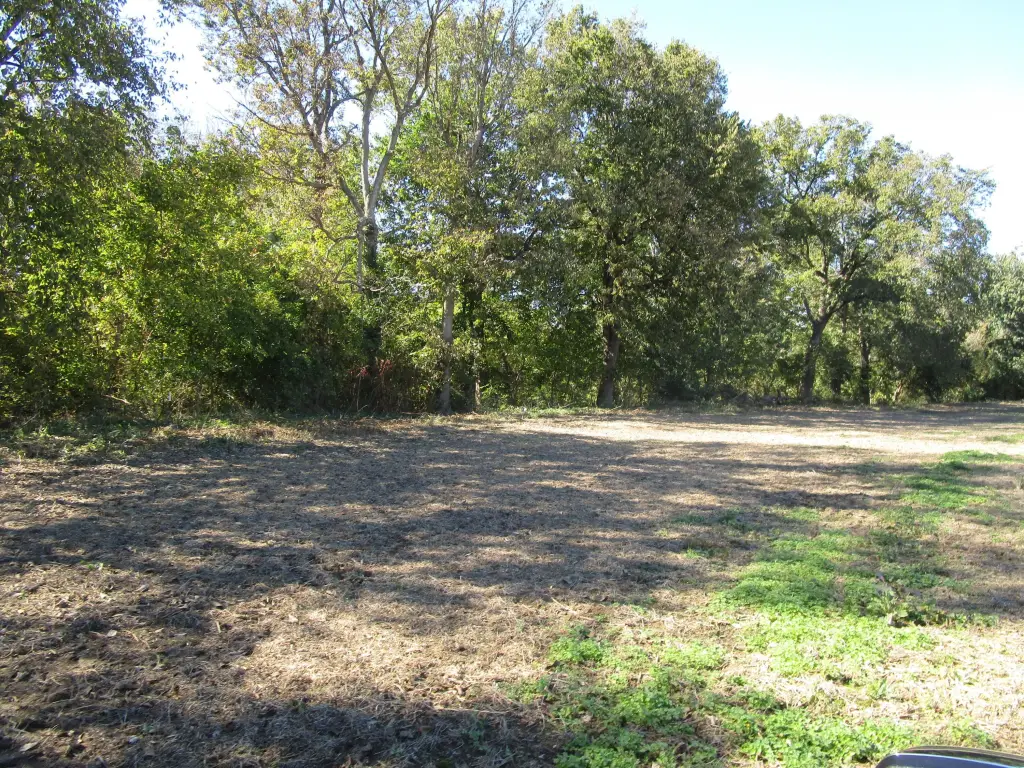 Picture 23