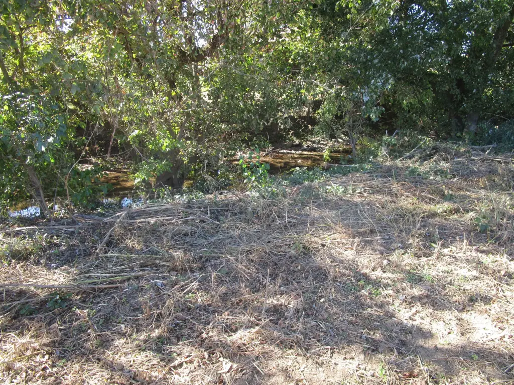 Picture 24