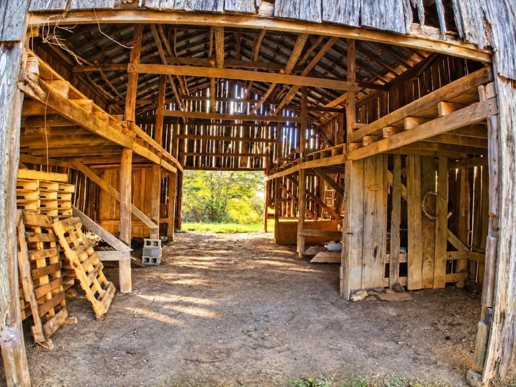 Picture 12