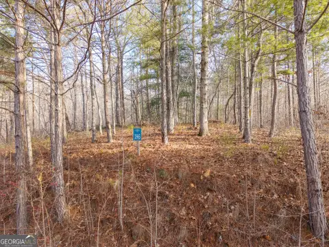 Ellijay, GA 1.01-Acre Lot