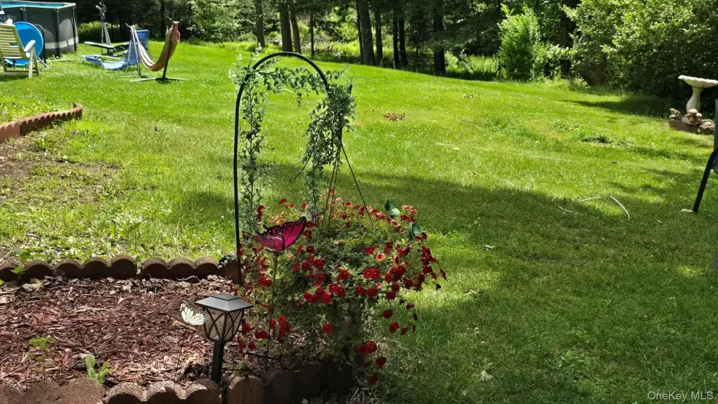 Picture 4