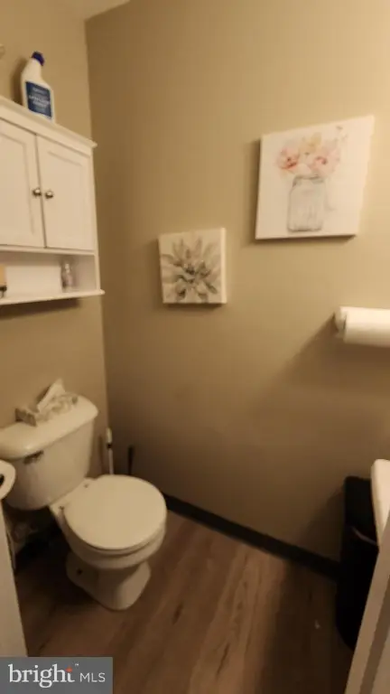 Picture 4