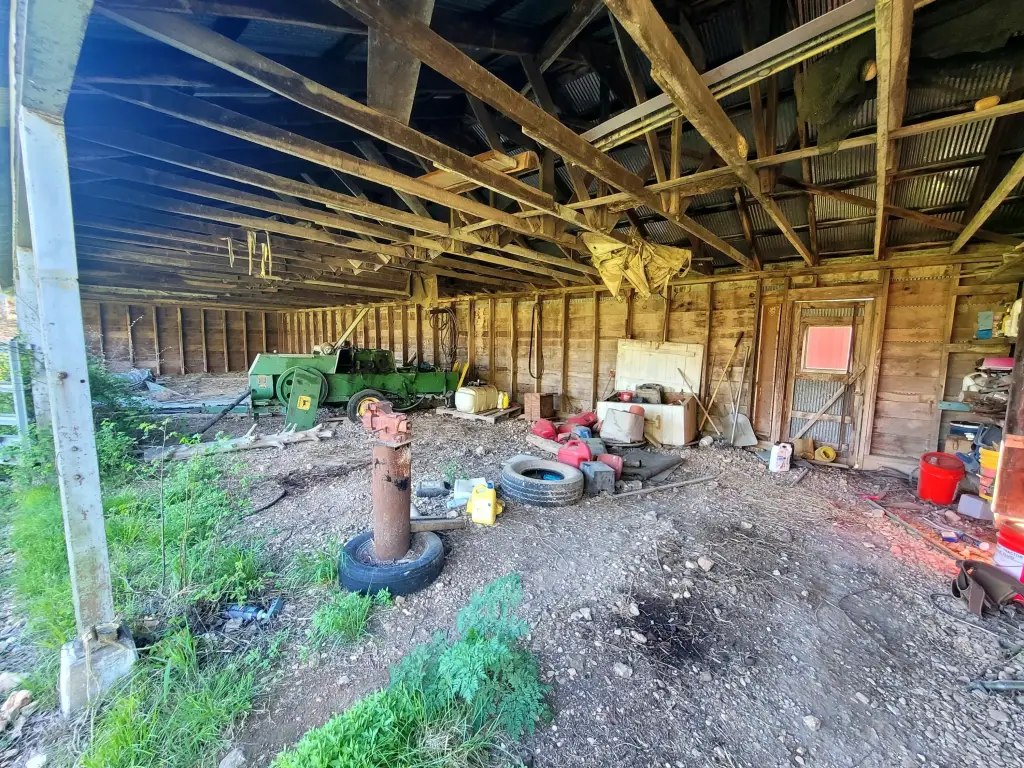 Picture 6