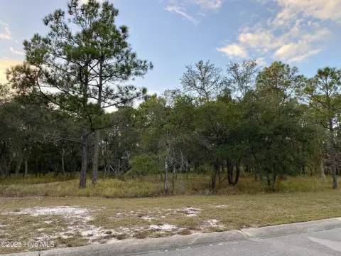 Waterfront Community Homesite Opportunity