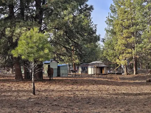 Bonanza Land with Horse Fencing