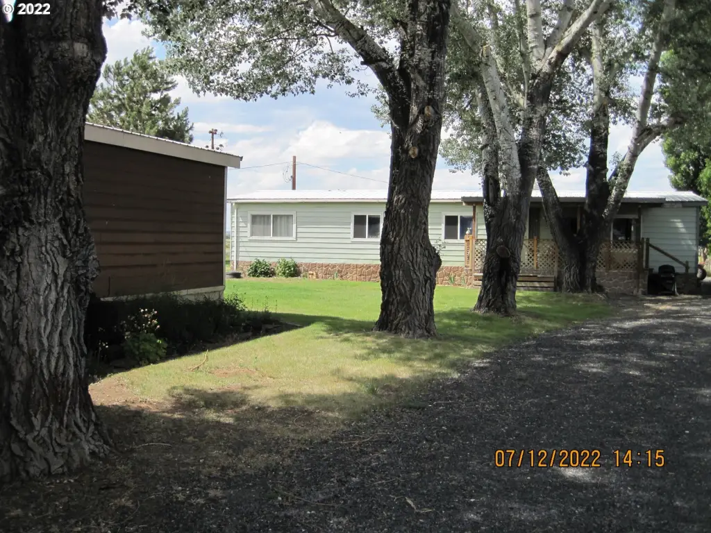 Picture 8