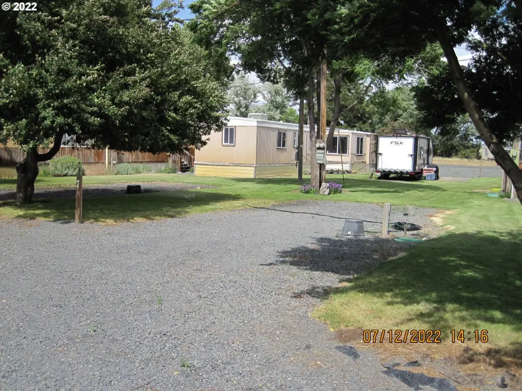 Picture 31