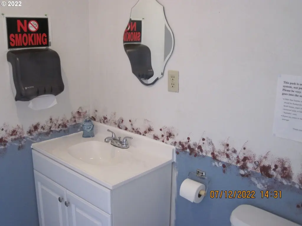 Picture 30