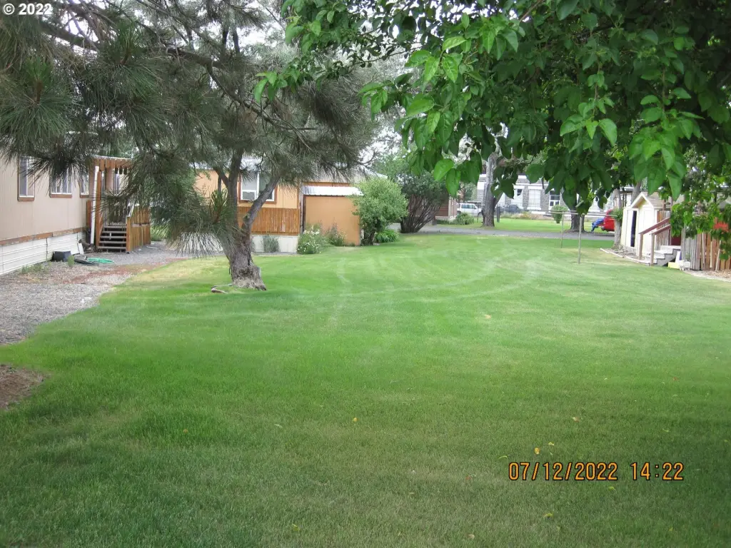 Picture 15
