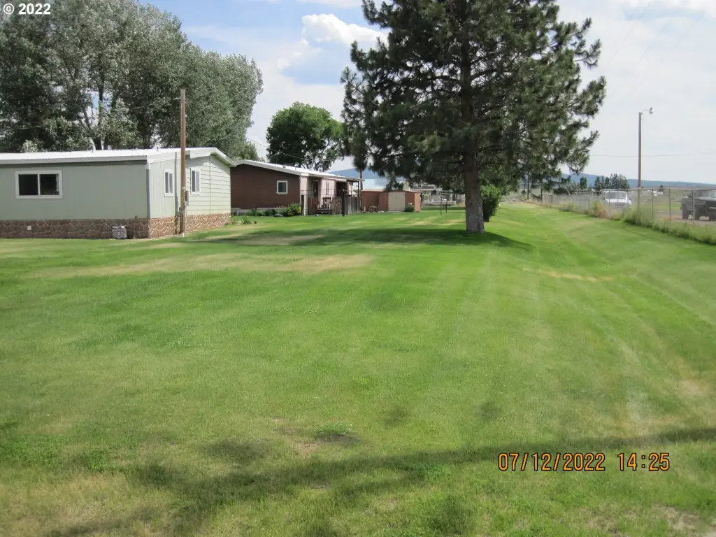 Picture 19
