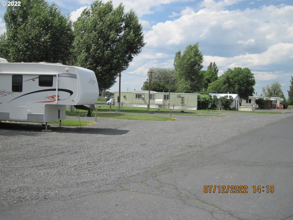 Picture 13