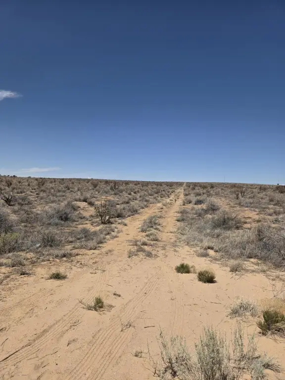 Picture 4