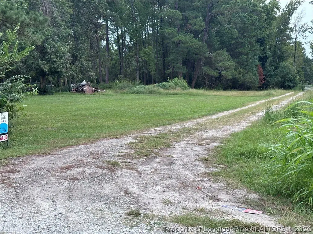 Picture 31