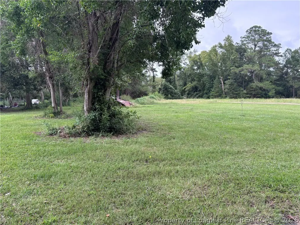 Picture 25