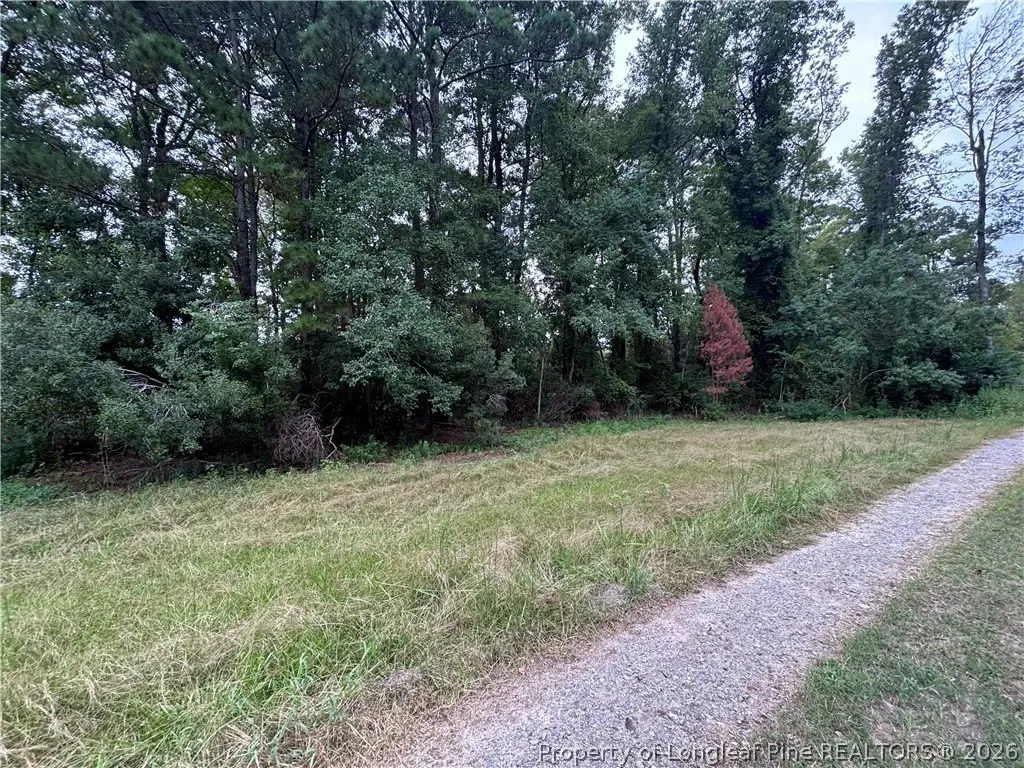 Picture 14