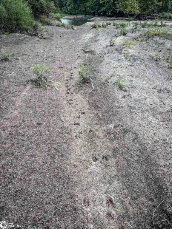 Picture 35