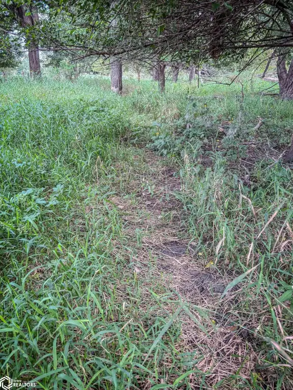 Picture 39