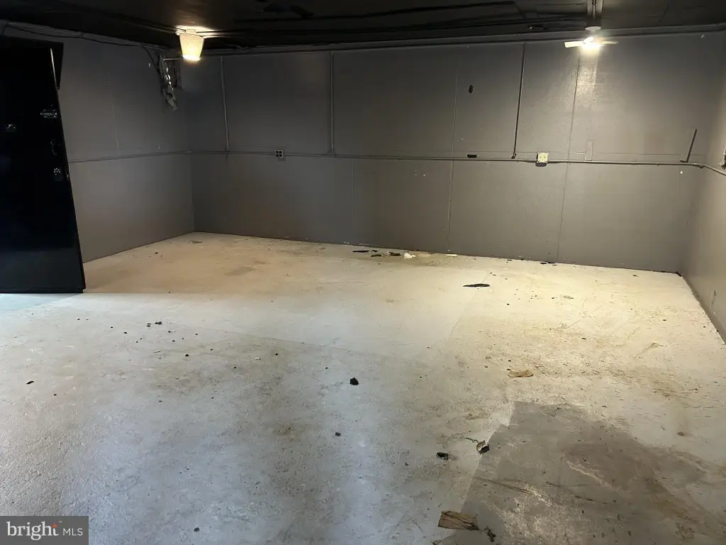 Picture 5