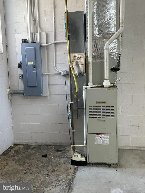 Picture 16