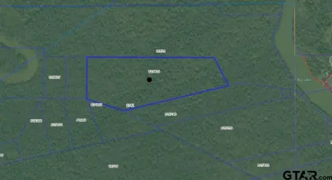 Secluded Acreage Near Palestine, Texas