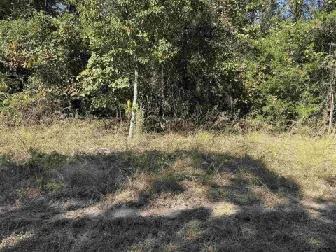 Residential Lot in Gated Community