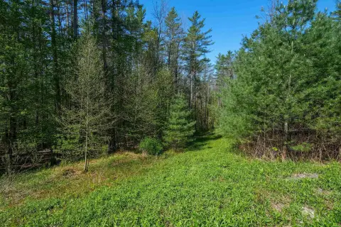 Residential Land in Ludlow, VT