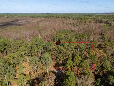 Wooded Lot in Holly Lake