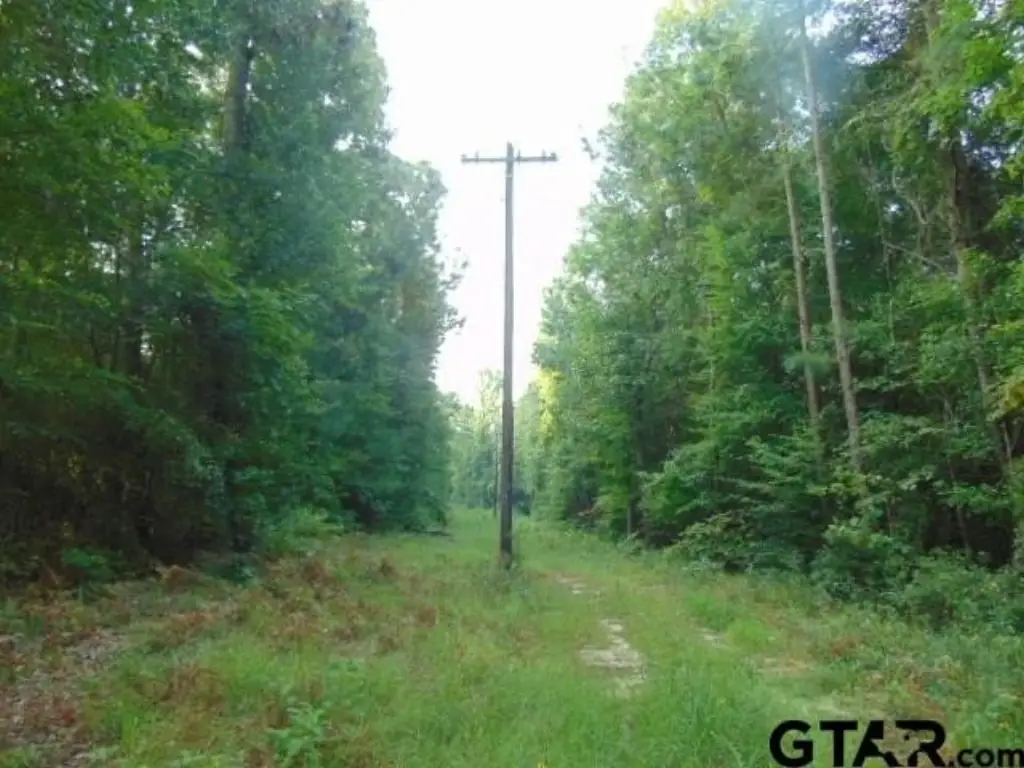 Picture 10