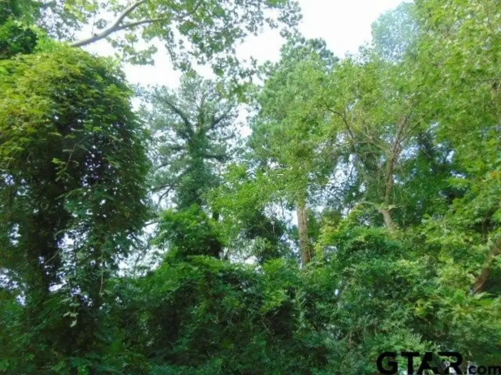 Picture 21