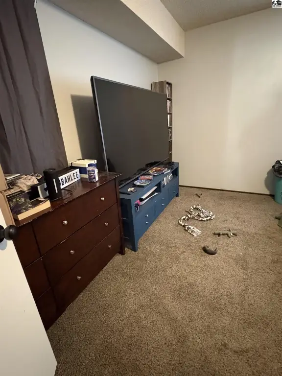 Picture 12