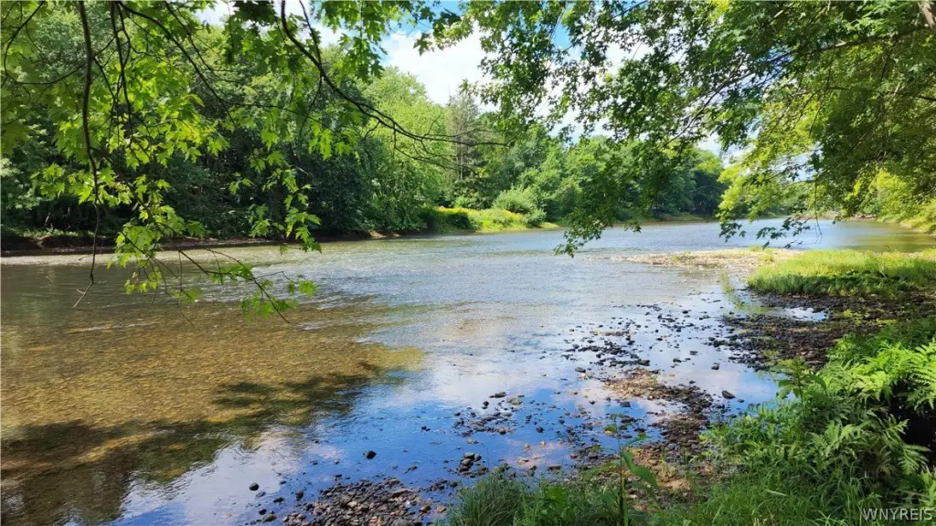 Picture 21