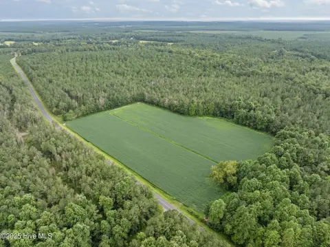 Versatile Land in Blounts Creek