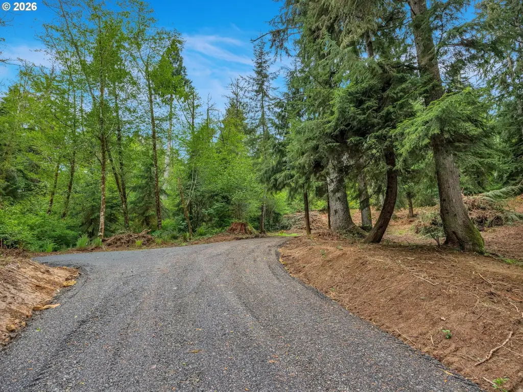 Picture 13