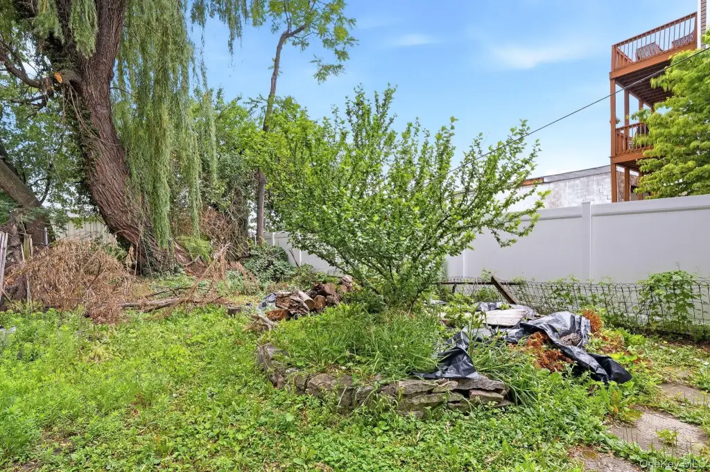 Picture 23