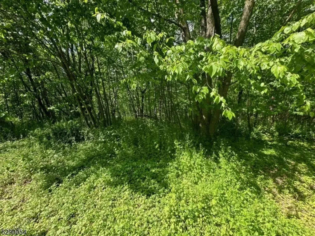 Picture 25