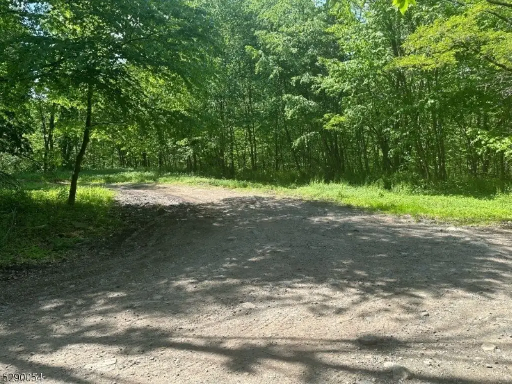 Picture 11