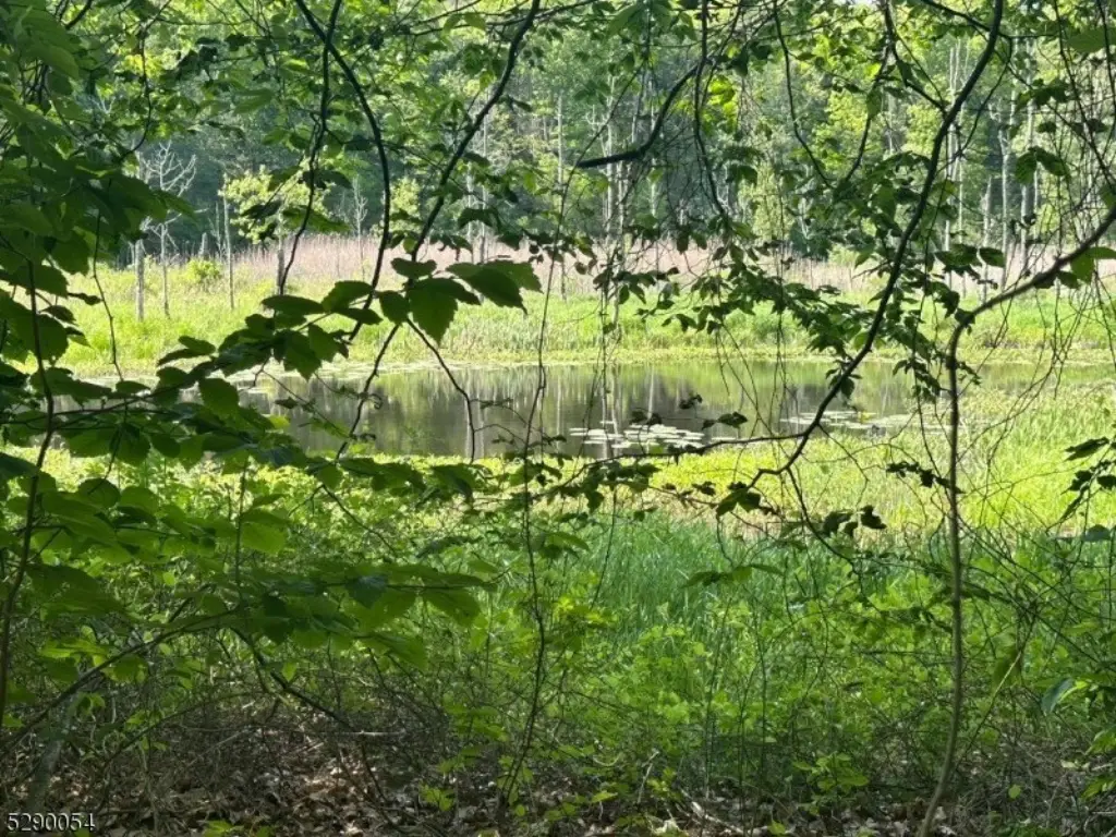 Picture 21