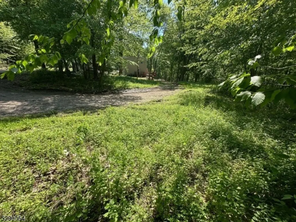 Picture 14