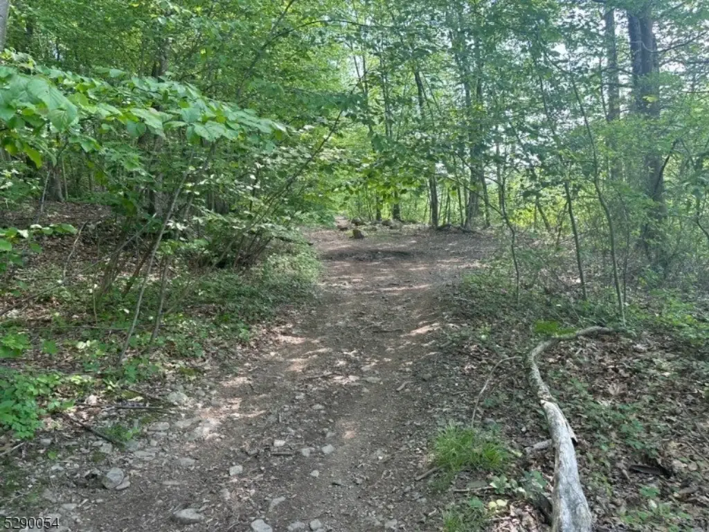 Picture 18