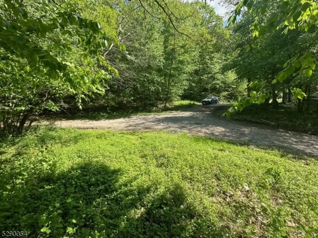 Picture 15