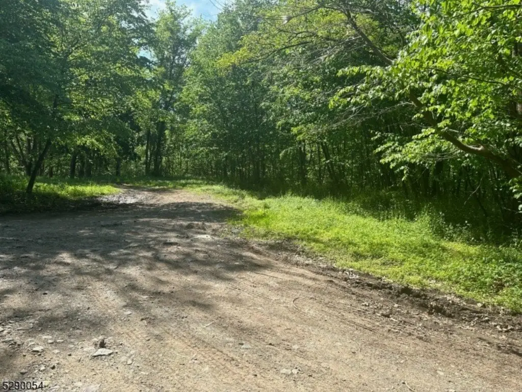 Picture 7