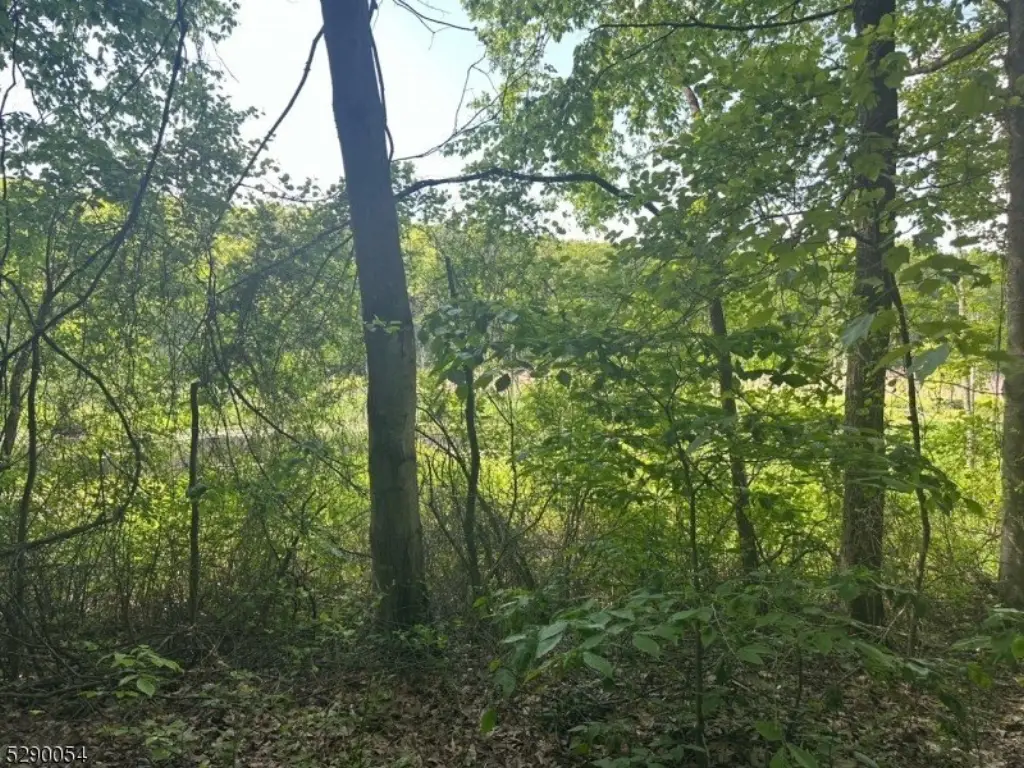 Picture 20