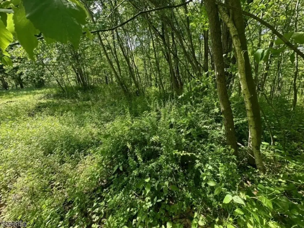 Picture 23